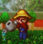 Stardew Valley Expanded